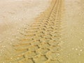 Tracks in the sand, tire tread Royalty Free Stock Photo