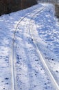 The tracks in the snow