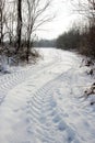 Tracks in the snow Royalty Free Stock Photo