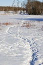 Tracks on snow field