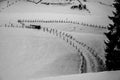 tracks in the snow