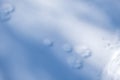 Tracks of snow shoe hare in the snow Royalty Free Stock Photo