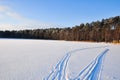 Tracks on snowed lake Royalty Free Stock Photo