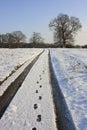 Tracks in snowy countryside