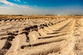 Tracks from a tractor on the sea sand on the beach Royalty Free Stock Photo