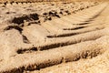 Tracks from a tractor on the sea sand on the beach Royalty Free Stock Photo