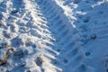 Tracks of tractors in the snow Royalty Free Stock Photo