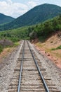 Tracks Royalty Free Stock Photo