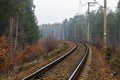 Tracks turn left. Railway track in the forest. Long way. Travel. Royalty Free Stock Photo