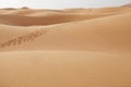 A trackway on the desert sand Royalty Free Stock Photo
