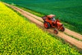 Tractor in the agricultural wheat and rapeseed fields and dramatic clouds Royalty Free Stock Photo