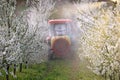 Tractor with atomizing sprayer spraying pesticides on cherry trees orchard spring Royalty Free Stock Photo