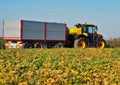 Tractor with a big agricultural trailer near a soybean field during the autumn harvest Royalty Free Stock Photo