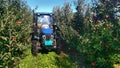 The tractor is blue in the orchard