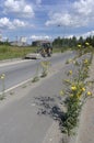 Tractor with a bucket removes garbage and a sidewalk with yellow flowers in the foreground