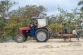 Tractor on caribbean resort beach clearing weed