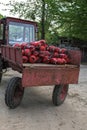 The tractor carries a lot of fire extinguishers Royalty Free Stock Photo