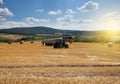 Tractor carrying hay at the field Royalty Free Stock Photo
