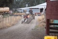 Tractor carrying people in cow toy train cars up the dirt road