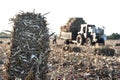 Tractor collecting haystack