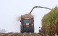 Tractor collecting the maize harvest in a large trailer