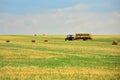 The tractor collects the hay in sheaves and takes it off the field after the mowing of the grain. Agroindustrial industry. Royalty Free Stock Photo