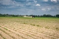 Tractor in the corn maize field Royalty Free Stock Photo