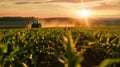 The Tractor in Cornfield Sunset.AI generated image Royalty Free Stock Photo