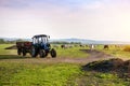 Tractor and cows on the farm Royalty Free Stock Photo