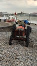 Tractor and Crab Fishing Boats, Cromer, Norfolk, England, UK