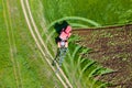 Tractor cultivates green field with steel cast plow, top view, drone shooting from height. Equipment and machines for Royalty Free Stock Photo