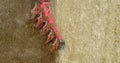 Close up of agricultural machinery plowing agricultural farmland.