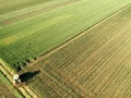 Tractor cultivating corn crop field, aerial view Royalty Free Stock Photo