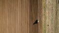 Tractor cultivating and harrowing field at spring season Royalty Free Stock Photo