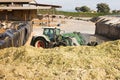 Tractor digger arranging crushed corn mass for feeding cows