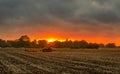 Tractor disc harrowing at sunrise.