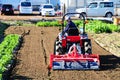 Tractor Driver