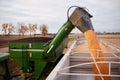 Tractor emptying its load of harvested maize