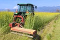 Tractor farming on canola field Royalty Free Stock Photo