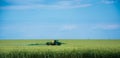 The tractor fertilizes wheat or rye.