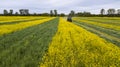 Tractor in the field, agriculture in the spring