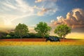 tractor on field  blue cloudy  sky  at sunset green grass and trees  on field  forest on horizon nature landscape. country side Royalty Free Stock Photo