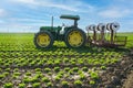 Tractor in a field of green lettuce plants. The tractor is pulling a plow behind it, and the lettuce plants are growing in rows