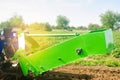 Tractor in the field with a plow for digging potatoes harvesting, seasonal work, fresh vegetables, agro-culture, farming, close-up Royalty Free Stock Photo