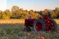 Tractor in a field of pumpkin