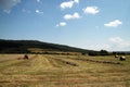 Tractor on field Royalty Free Stock Photo