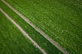 Tractor fresh trace on the field Royalty Free Stock Photo