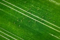 Tractor fresh trace on the field Royalty Free Stock Photo