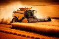 Tractor is going trough agriculture field full of gold wheat. Harvest concept. Royalty Free Stock Photo