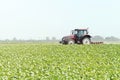 Tractor in the green field. Agriculture machine.